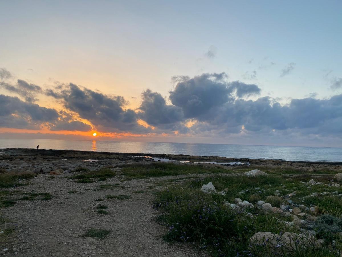 Melania Gardens Apartment 2 Paphos Kültér fotó